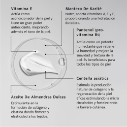 Body Milk Hidratante y Suavizante | Nutritivo y de Fácil Absorción