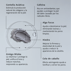 Exfoliante Facial y Corporal Natural | Con Algas, Cafeína y Aloe Vera