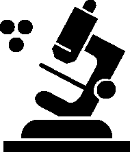 Dermatológicamente testado